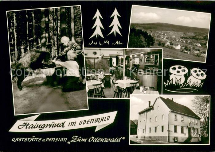 Haingrund Gaststaette Pension Zum Odenwald Panorama