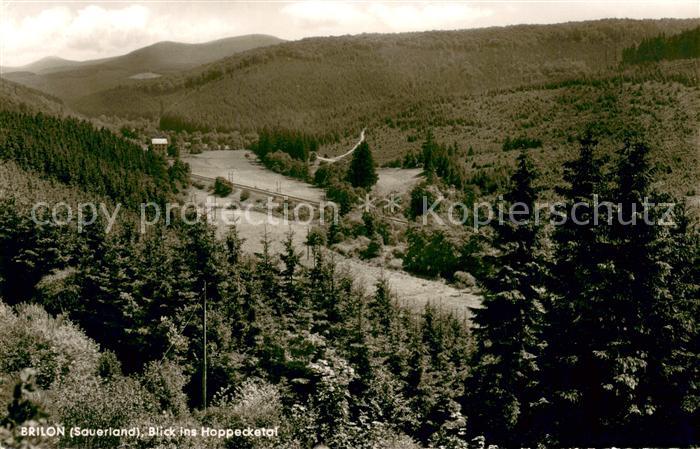 Brilon Hochsauerlandkreis NRW Blick ins Hoppecketal Bahnlinie