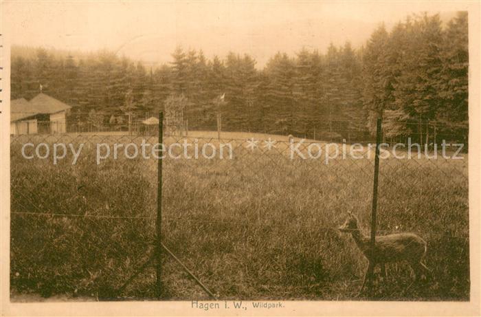 Hagen Selbecketal Wildpark