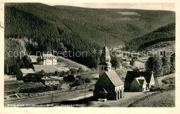 Wald Brilon Hoppecketal