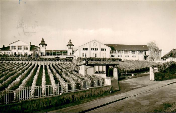 Ruedesheim am Rhein Geg- Weinkellerei