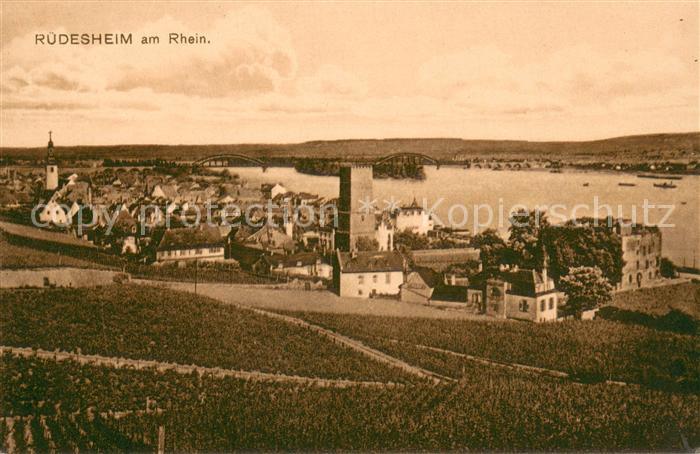Ruedesheim am Rhein Gesamtansicht