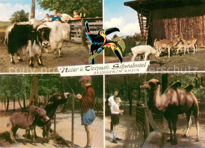 Schwalmtal Niederrhein Natur- und Tierpark