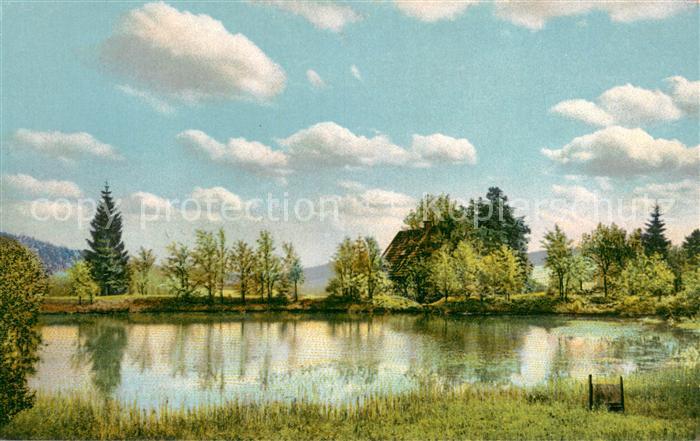 Altenberg Erzgebirge Rauschermuehlen- Teich