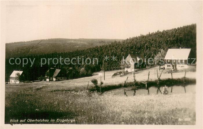 Oberholzhau Fischteich