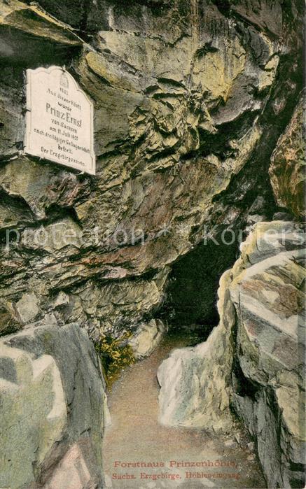 Hartenstein Zwickau Forsthaus Prinzenhoehle Hoehleneingang Hartensteiner-Wald