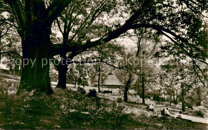 Witten Ruhr Stadtpark