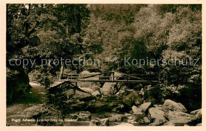 Plauen Vogtland Loreley Steg im Triebtal