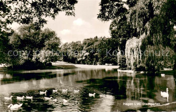 Hagen Westfalen Stadtgarten mit Teich