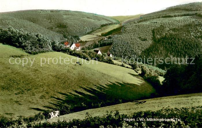 Selbecke Hagen Maeckingerbach-Tal