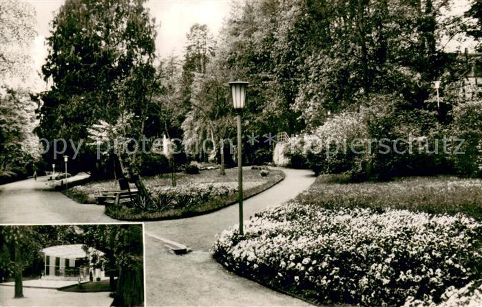 Braunfels Herrengarten