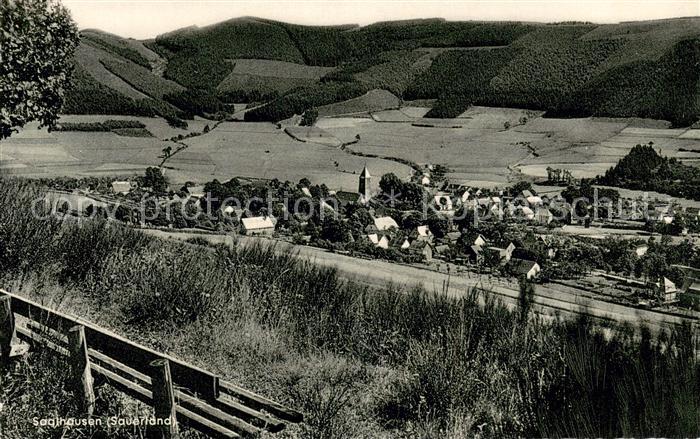 Saalhausen Sauerland Panorama
