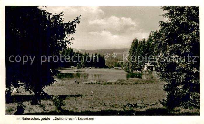 Kirchhundem Landschaftspanorama Naturschutzgebiet Dollenbruch See