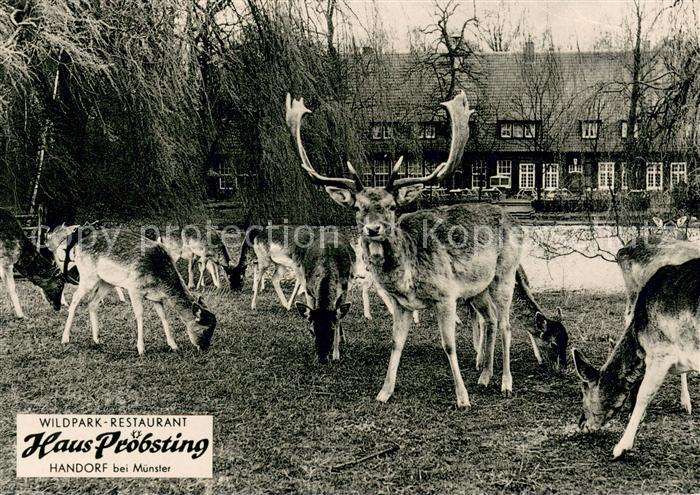 Handorf Muenster Wildpark Restaurant Haus Proebsting
