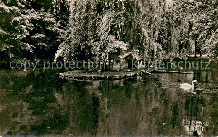 Bad Essen Muehlenteich