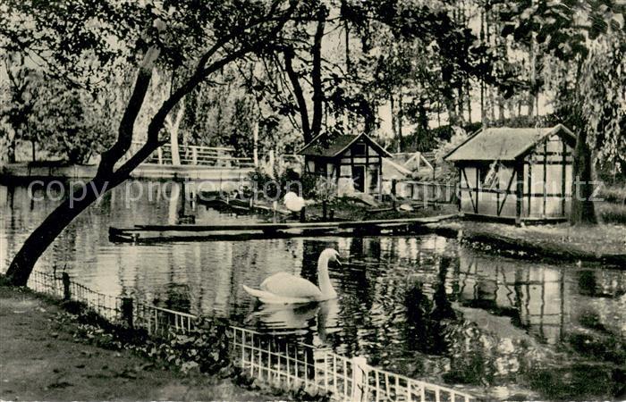 Bad Essen Schwanenteich