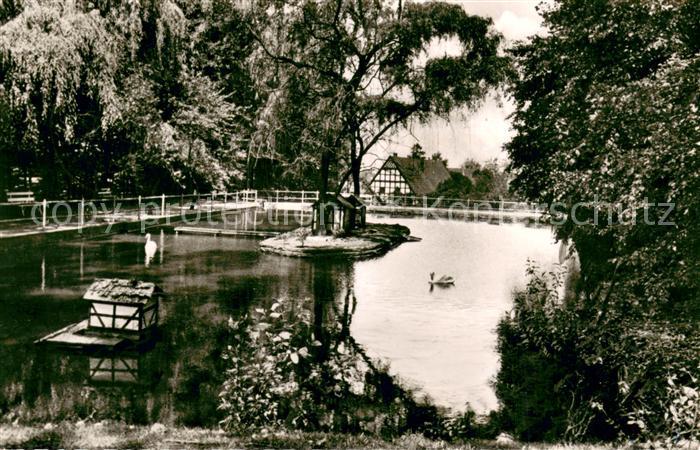 Bad Essen Muehlenteich mit Schwaenen
