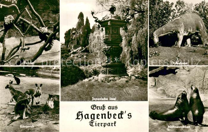 Stellingen Hamburg Hagenbecks Tierpark m. Tieren