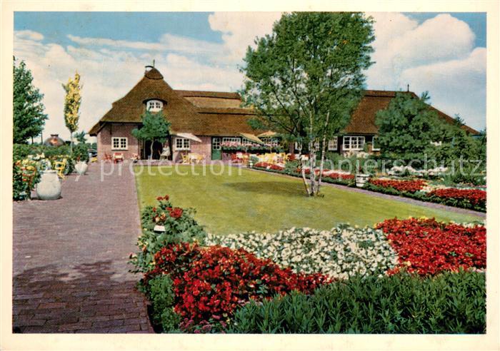 Wiesmoor Blauer Fasan