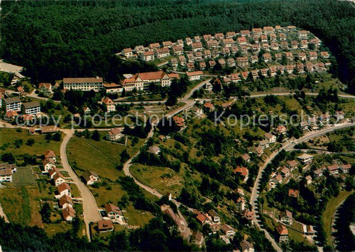 Neuenburg Rhein Fliegeraufnahme