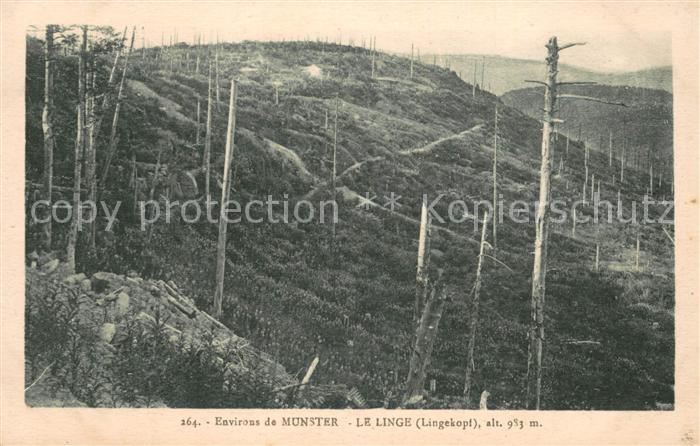 Munster 68 Haut Rhin Elsass Le Linge Lingekopf Vogeesen