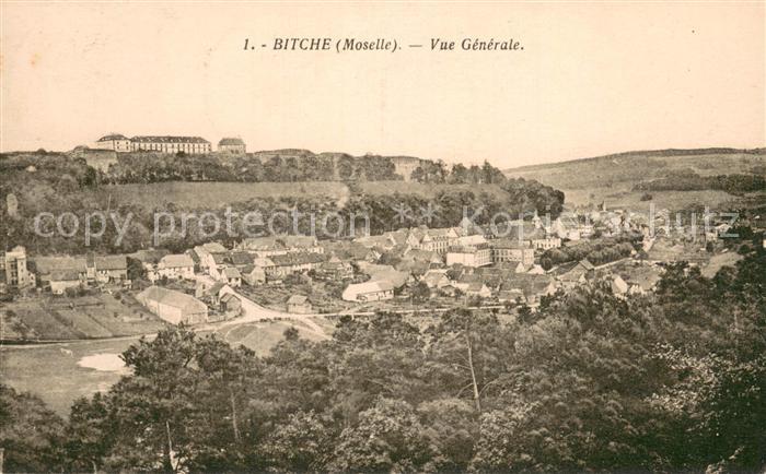Bitche Moselle Vue Generale