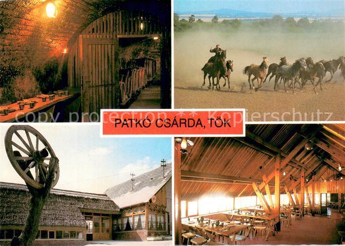 Toek HU Patko csarda Gaststaette Pferde