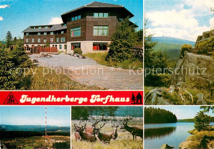 Torfhaus Harz Jugendherberge Landschaftspanorama See Wild Hirsche