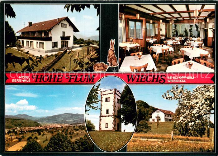 Wiechs Schopfheim Hotel Berghaus Hohe Flum Aussichtsturm Baumbluete Panorama Sch