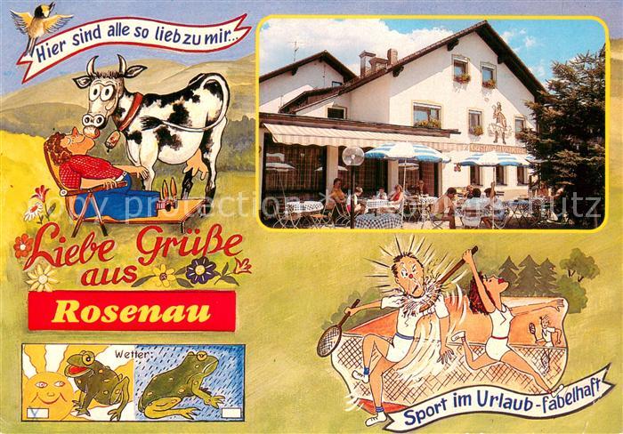 Rosenau Grafenau Hotel Gasthof Postwirt Terrasse Karikaturen Kuh Briefschwalbe F