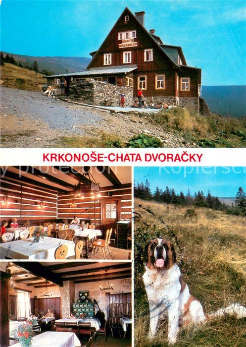 Rokytnice nad Jizerou Chata Dvoracky Krkonose Bergbaude im Riesengebirge Bernhar