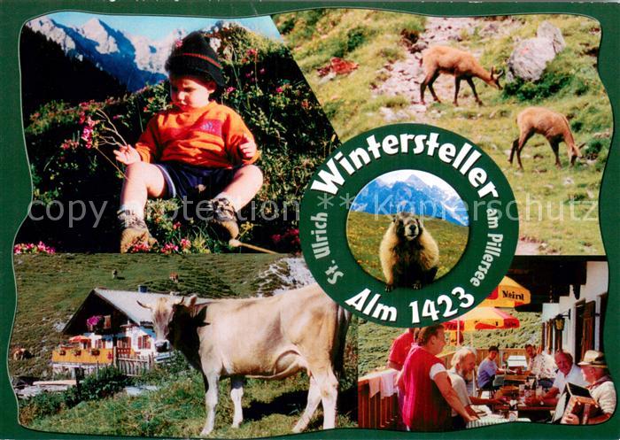 St Ulrich Pillersee Wintersteller Alm Terrasse Kind Kuh Murmeltier Wandergebiet