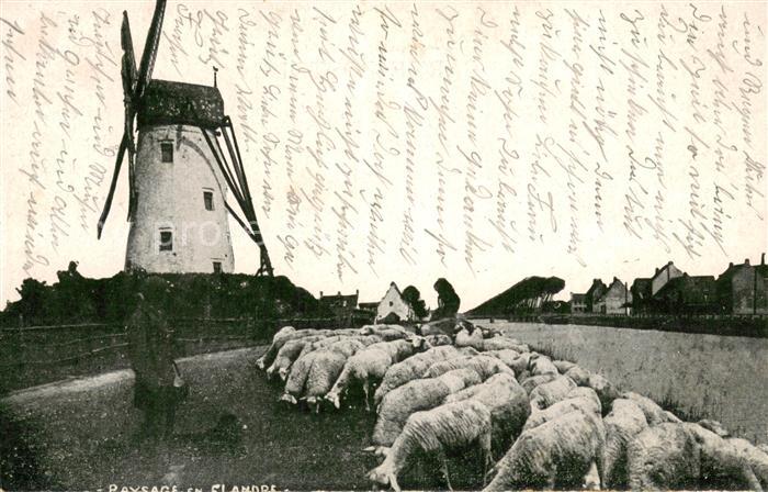 Schaeferei Landwirtschaft West vlaanderen