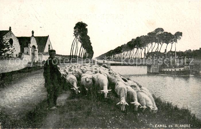 Schaeferei Landwirtschaft West vlaanderen