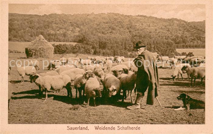 Landwirtschaft Sauerland Schäfer