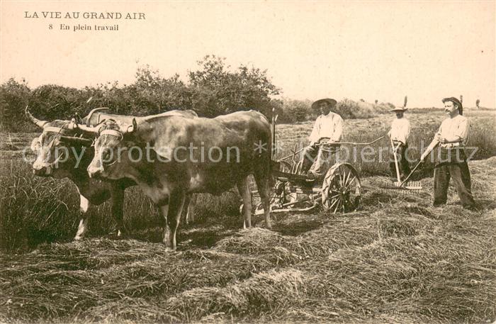 Landwirtschaft La Vie au Grand air