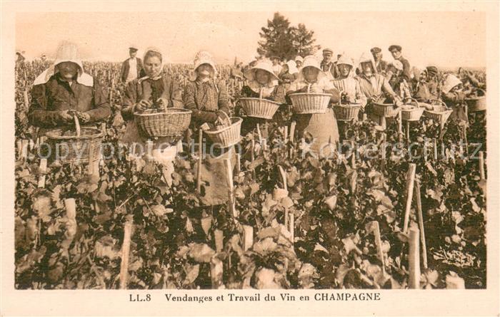 Champagne Weinregion Vendanges et Travail du Vin