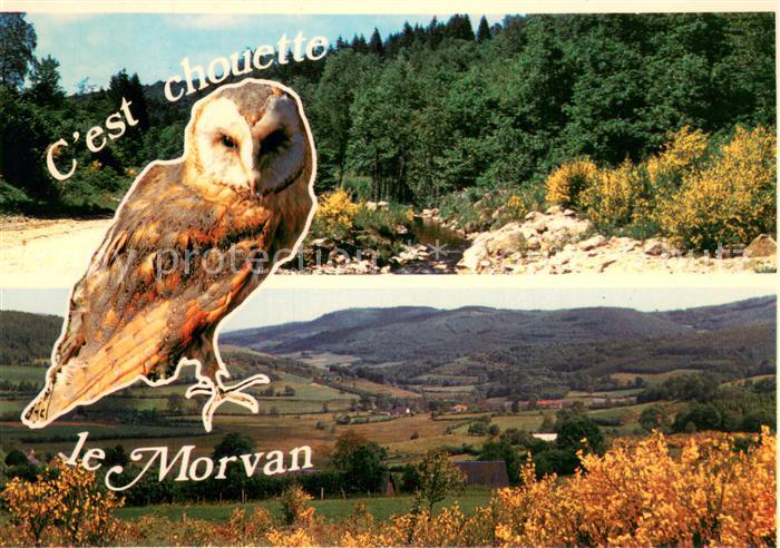 Morvan Le (Region) C´est chouette le Morvan