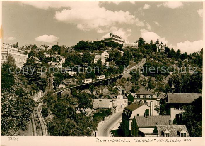 Foto Hahn Nr. Nr.12754 Dresden Loschwitz