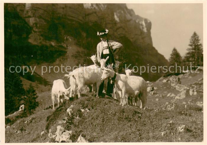 Schaeferei Landwirtschaft Nach der Alpfahrt Alpstein
