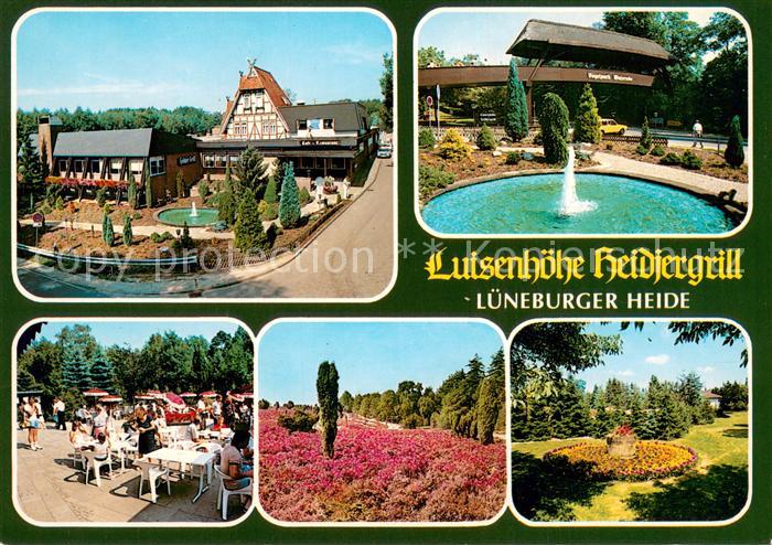 Walsrode Lueneburger Heide Luisenhoehe Heidjergrill Springbrunnen Terrasse Blume