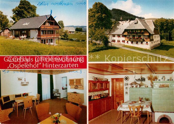 Hinterzarten Breisgau-Hochschwarzwald BW Gaestehaus Ferienwohnungen Ospelehof im