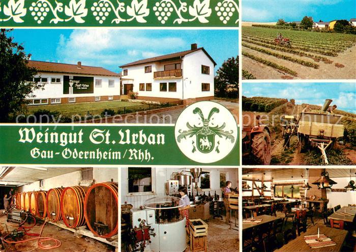Gau-Odernheim Weingut St. Urban Weinkeller Gastraum Weinlese