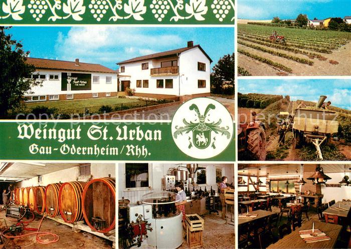 Gau-Odernheim Weingut St. Urban Weinkeller Gastraum Weinlese