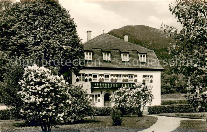 Aschau Chiemgau Schullandheim Stadt Wuerzburg Baumbluete