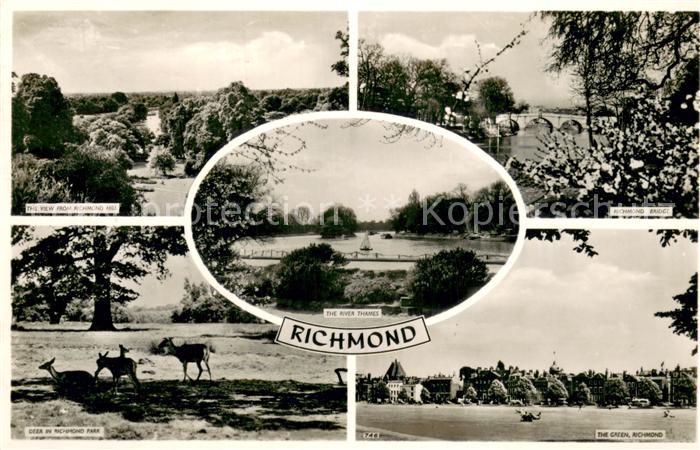 Richmond upon Thames Landscape Richmond Hill Bridge River Thames Deer in Richmon
