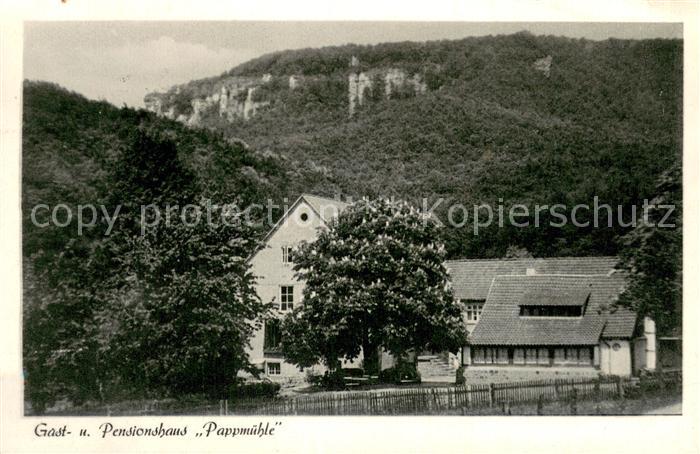 Zersen Gasthaus Pension Pappmuehle Kastanienbaum in Bluete