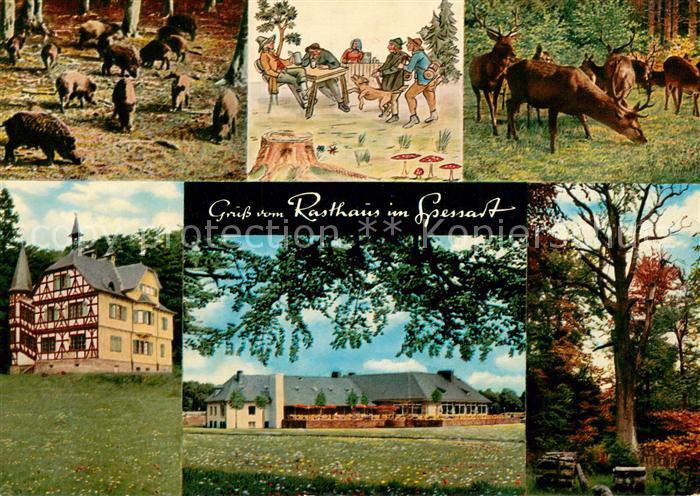 Rohrbrunn Autobahn Rasthaus im Spessart Motel Wildschweine Hirsche Karikaturen