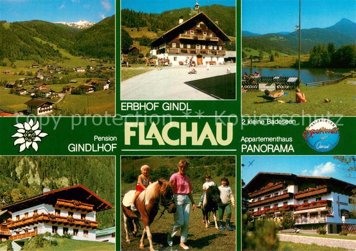 Flachau Erbhof Gindl Pension Gindlhof Appartementhaus Panorama See Landschaft Po