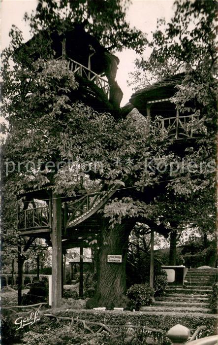 Robinson Plessis Le Vrai Arbre